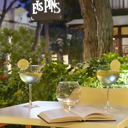 Els Pins فندق